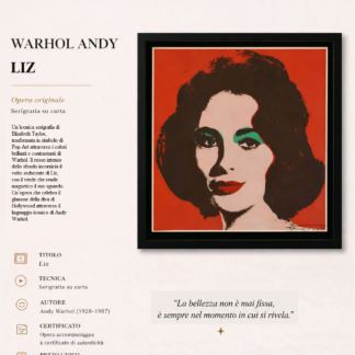 Litz - Andy Warhol