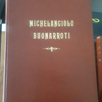 MICHELANGIOLO BUONARROTI
